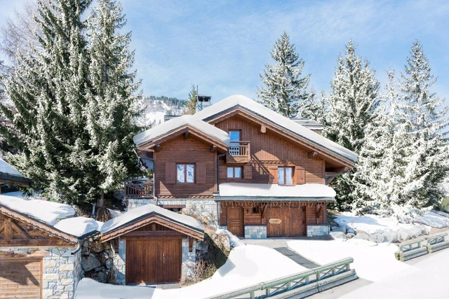 chalet-bulle-de-neige.html